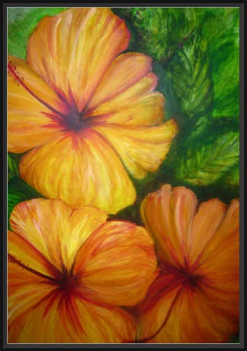 Three Hibiscus
2/26/10