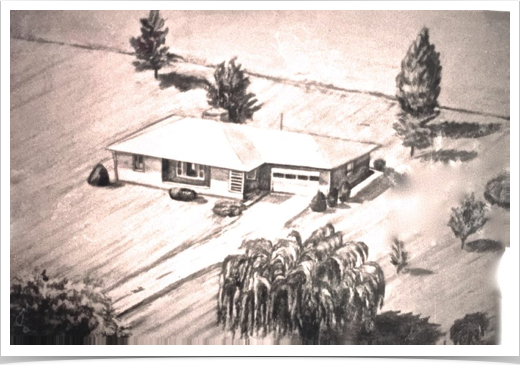 Commission
Aerial view of house
18 x 24