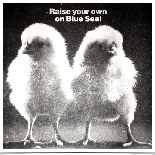 Original photo from newspaper