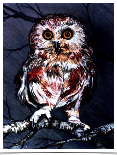 Nightowl
Pastel