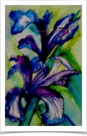 Iris
Watercolor