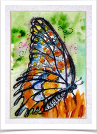 Limenitis