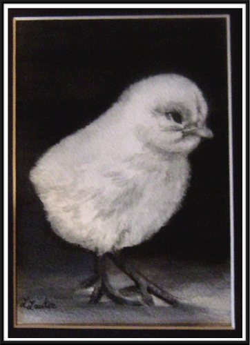 Chick 